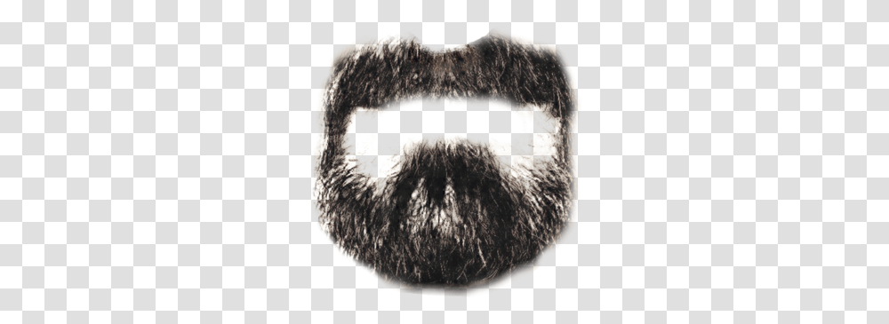 Beard, Person, Head, Face, Sweater Transparent Png