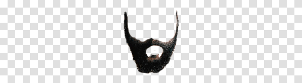 Beard, Person, Snout, Animal, Reptile Transparent Png