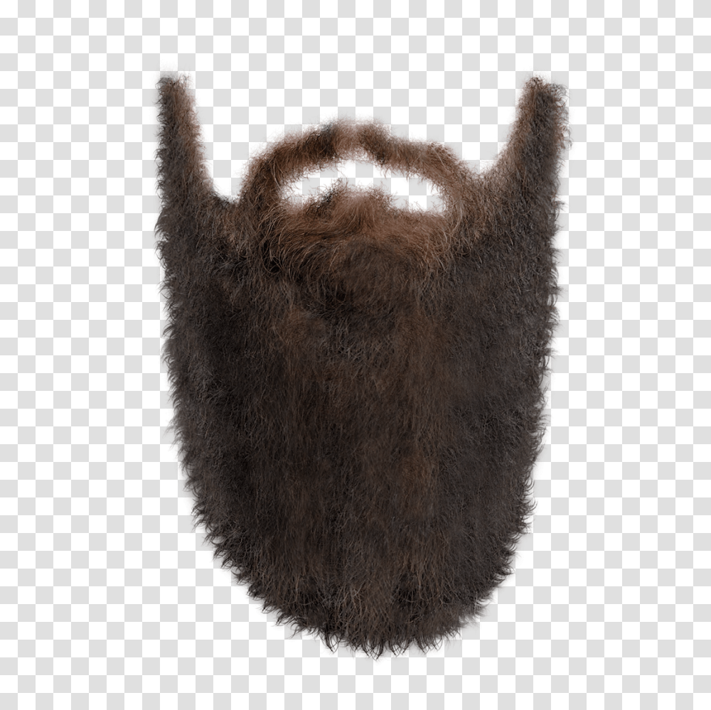 Beard, Person, Teeth, Mouth, Lip Transparent Png