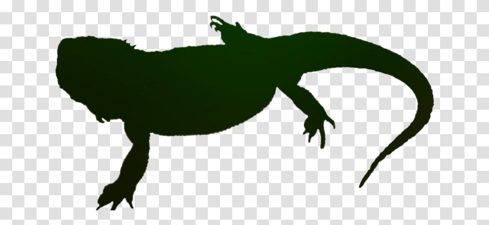 Bearded Dragon Lizard Icon Amphibians, Reptile, Animal, Crocodile, Alligator Transparent Png