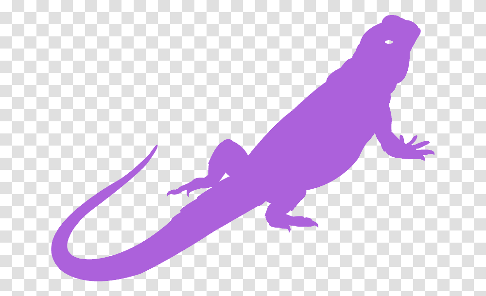 Bearded Dragon Silhouette Free Vector Silhouettes Creazilla Silhouette Bearded Dragon, Animal, Gecko, Lizard, Reptile Transparent Png