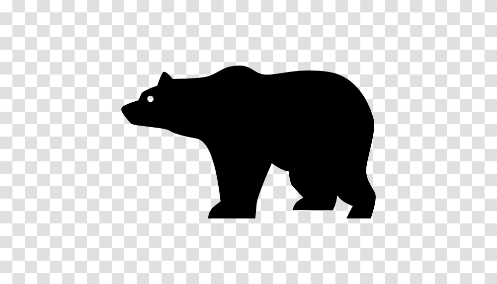 Bears Animals Side View Bear Silhouette Bear Bear Side View Transparent Png