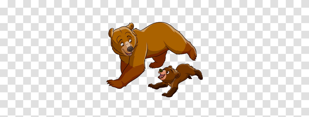 Bears Clipart, Brown Bear, Wildlife, Mammal, Animal Transparent Png