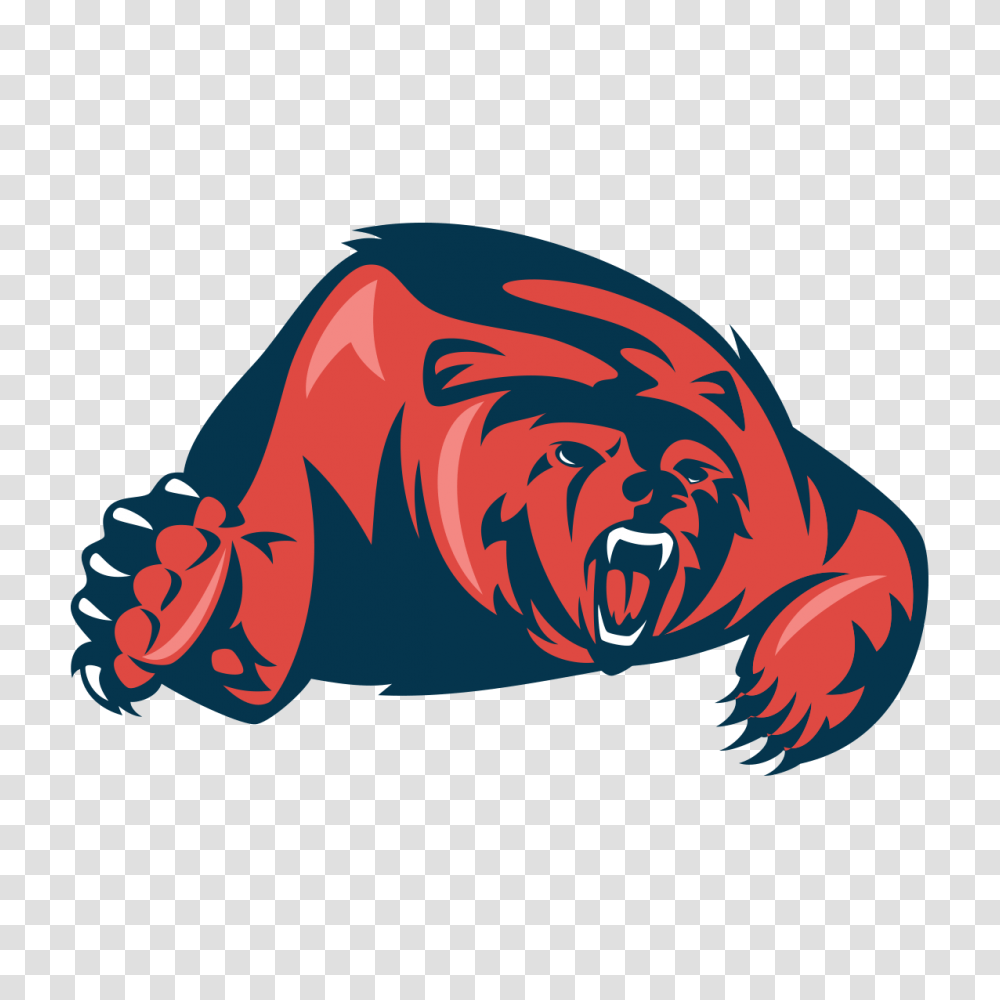 Bears Wire Your Place For All Chicago Bears News Rumors, Mammal, Animal, Walrus, Sea Life Transparent Png