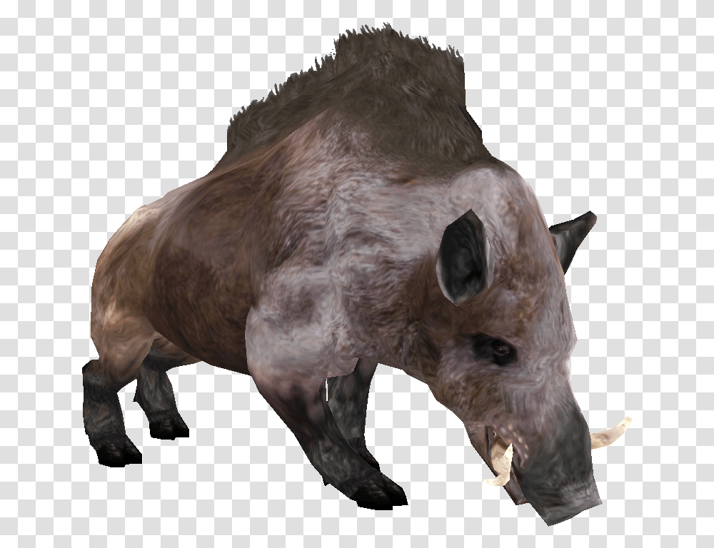 Beast Oblivian Boar Morrowind Boar, Mammal, Animal, Horse, Pig Transparent Png