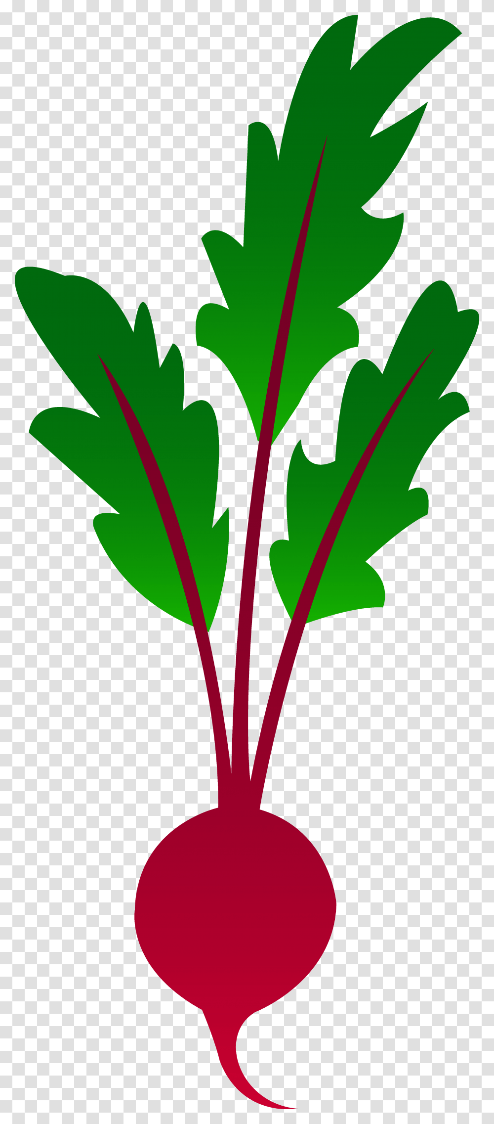 Beat Cliparts, Plant, Leaf, Produce, Food Transparent Png