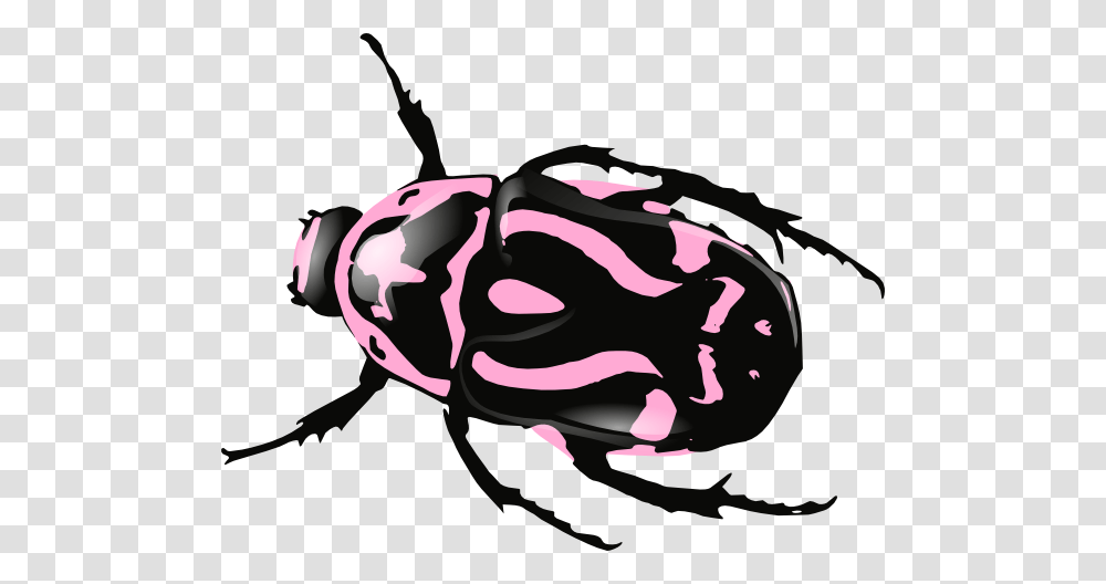 Beatle Clipart Pink, Insect, Invertebrate, Animal, Cockroach Transparent Png