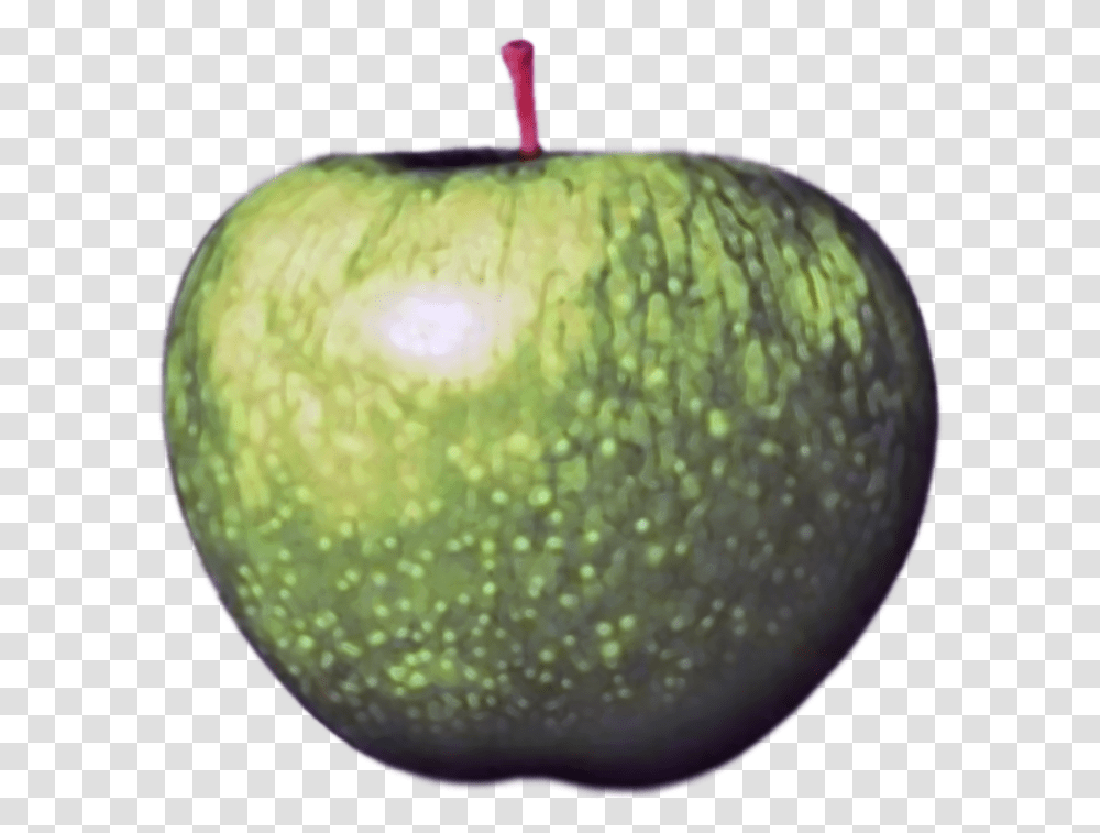 Beatles Apple Logo, Plant, Tennis Ball, Sport, Sports Transparent Png