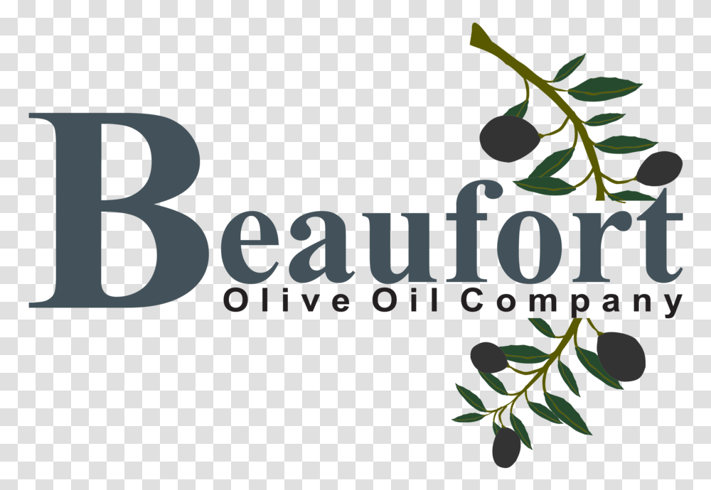 Beaufort Olive Oil Logo Web Graphic Design, Plant, Tree, Leaf, Animal Transparent Png