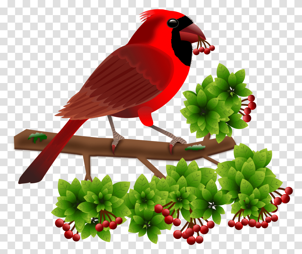 Beautiful Birds Word, Cardinal, Animal Transparent Png