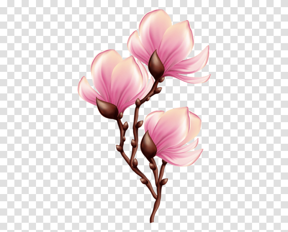 Beautiful Blooming Branch Blooming Flower Clipart, Plant, Blossom, Orchid, Petal Transparent Png