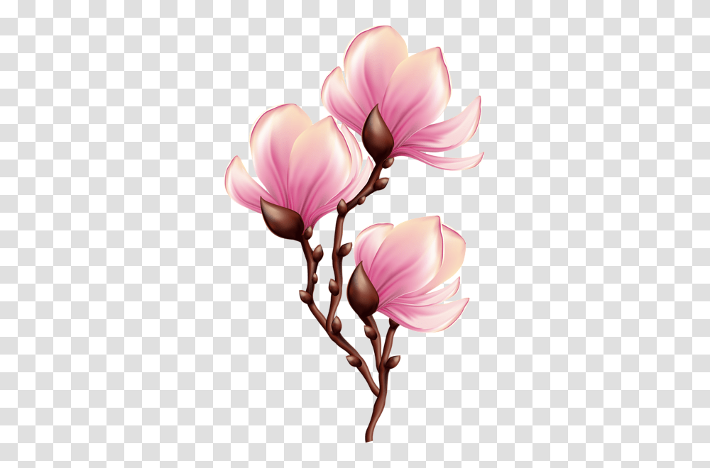 Beautiful Blooming Branch Clip Art Image Clip, Plant, Flower, Blossom, Petal Transparent Png