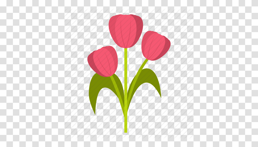 Beautiful Bouquet Flower Mom Pink Spring Tulip Icon, Plant, Blossom, Flower Bouquet, Flower Arrangement Transparent Png