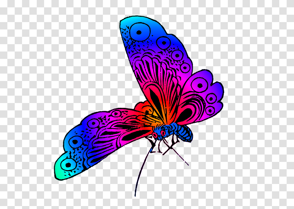 Beautiful Butterfly Images, Floral Design, Pattern Transparent Png