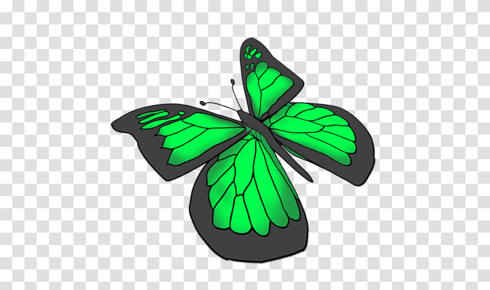 Beautiful Butterfly Images, Leaf, Plant, Green, Animal Transparent Png