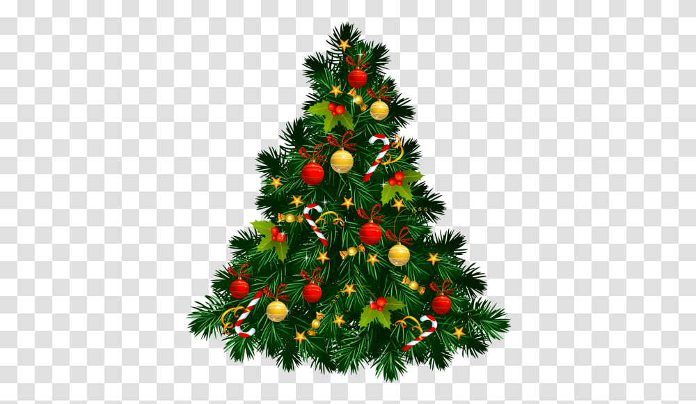 Beautiful Christmas Tree Decorations Image Free Download Christmas Tree, Ornament, Plant, Bush, Vegetation Transparent Png