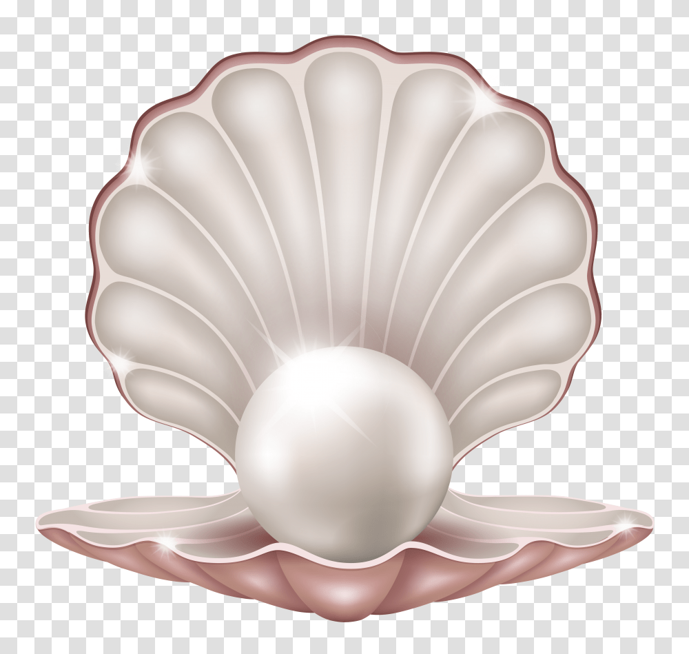 Beautiful Clam With Pearl Image Aka Founders Day Transparent Png