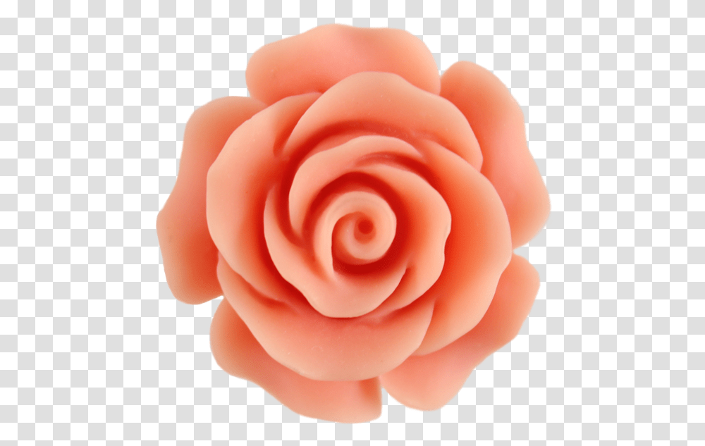 Beautiful Clipart Peach Rose Clip Art, Flower, Plant, Blossom, Petal Transparent Png