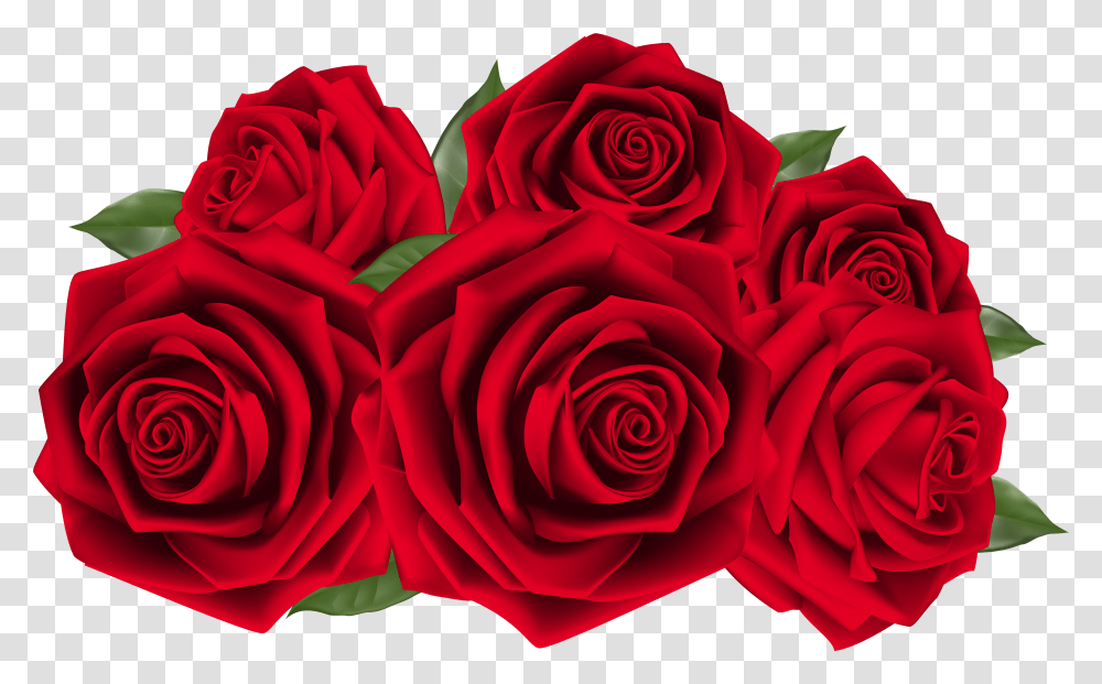 Beautiful Dark Red Roses Red Roses Clip Art Transparent Png