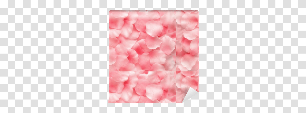 Beautiful Delicate Pink Rose Petals Wallpaper • Pixers We Live To Change Purple Petals Background, Flower, Plant Transparent Png