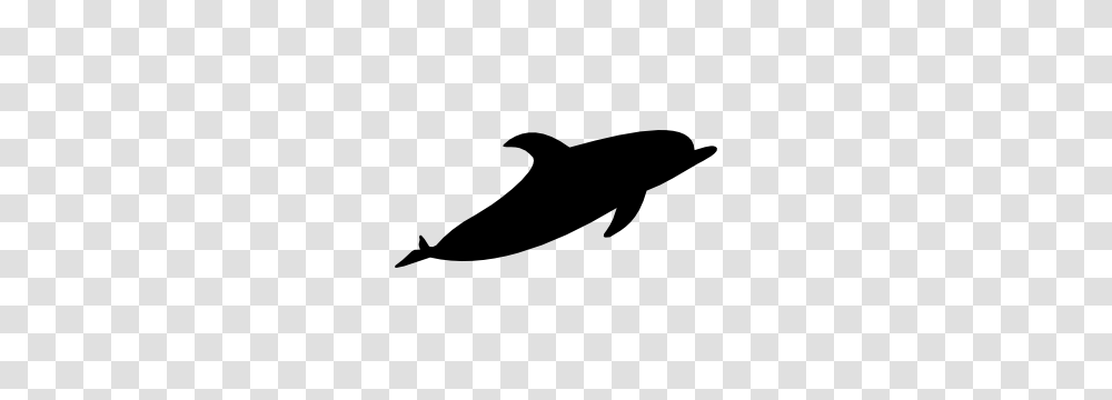Beautiful Dolphin Sticker, Sea Life, Animal, Mammal Transparent Png