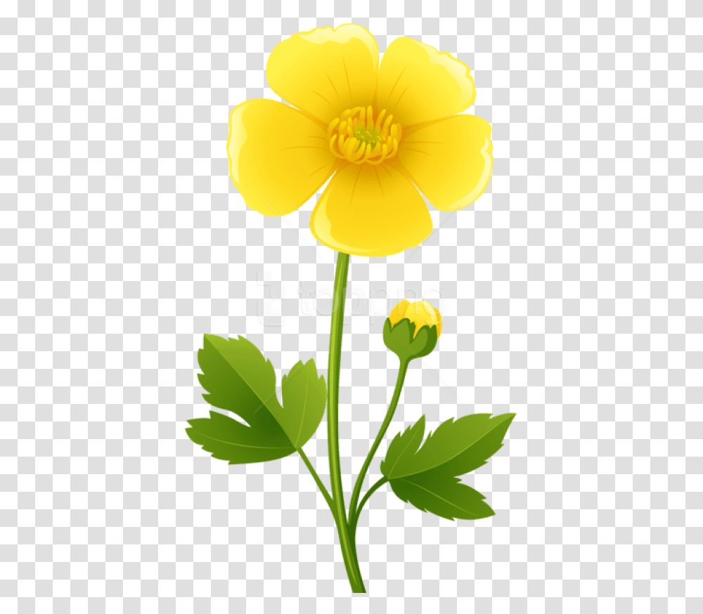 Beautiful Download Yellow Flower Images Buttercup Clipart, Plant, Pollen, Petal, Daffodil Transparent Png