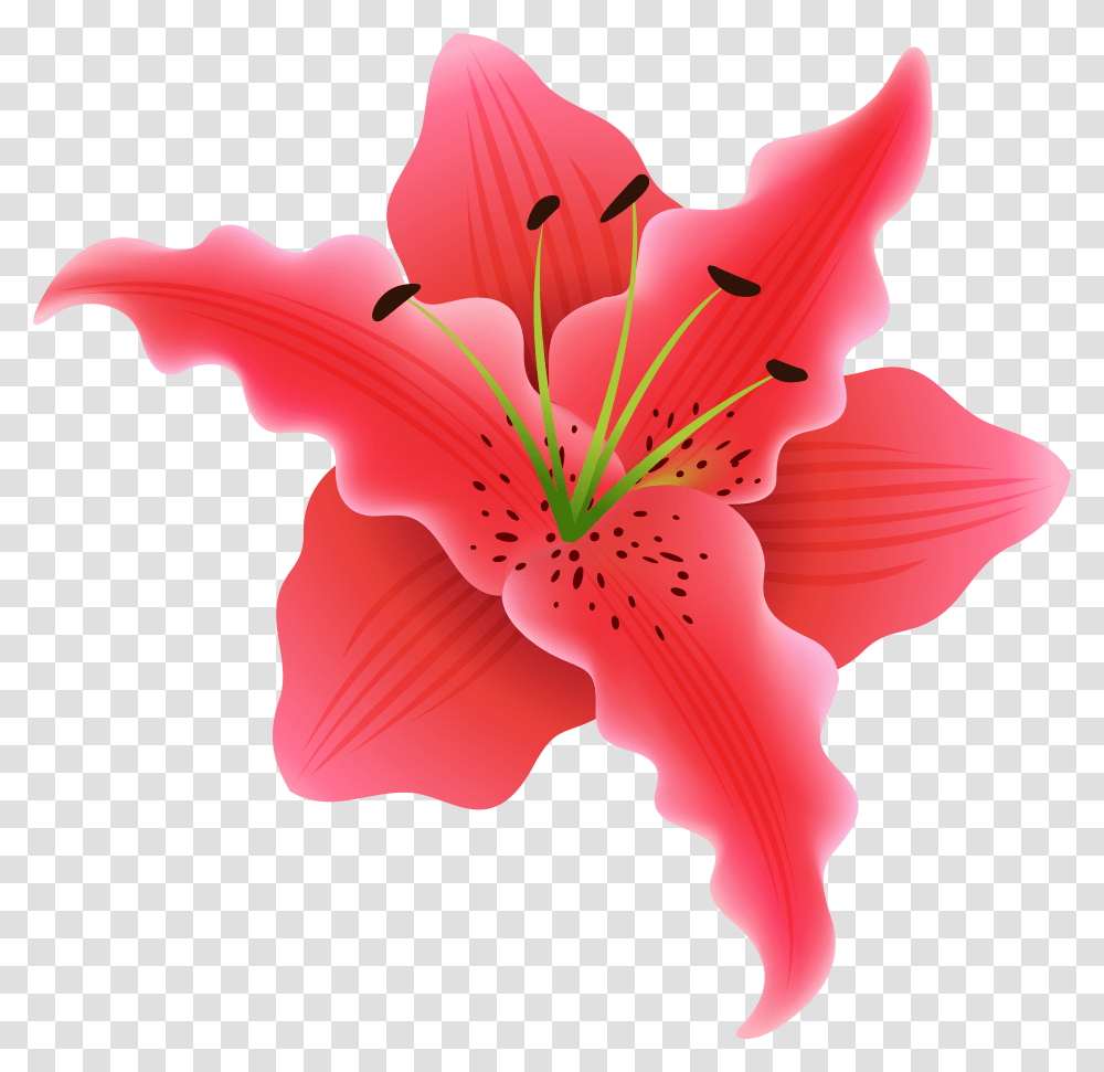 Beautiful Exotic Flower Clipart Image Portable Network Graphics, Plant, Lily, Blossom, Petal Transparent Png