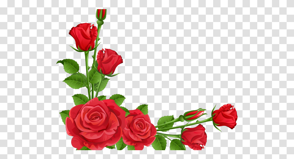 Beautiful Flower Border Designs For School Projects, Rose, Plant, Blossom, Flower Bouquet Transparent Png