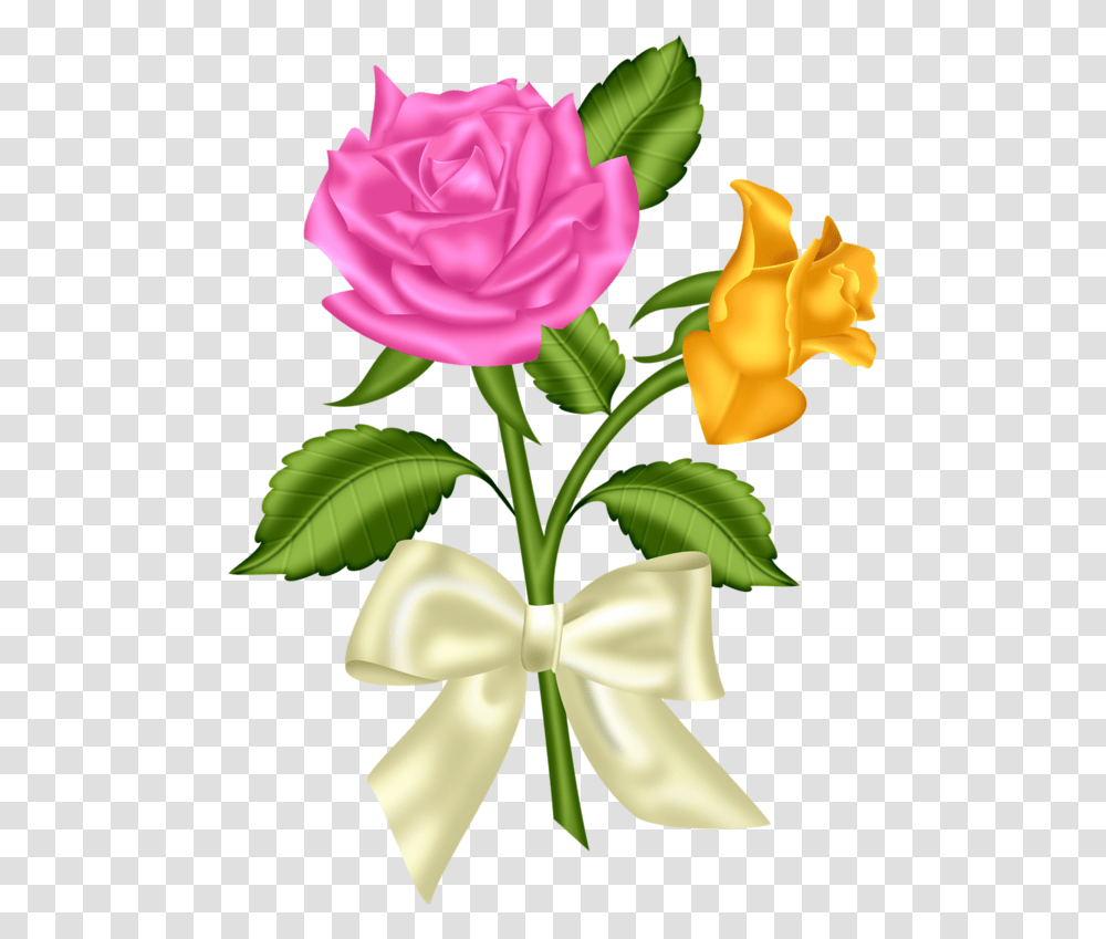 Beautiful Flower Clipart, Plant, Rose, Blossom, Petal Transparent Png