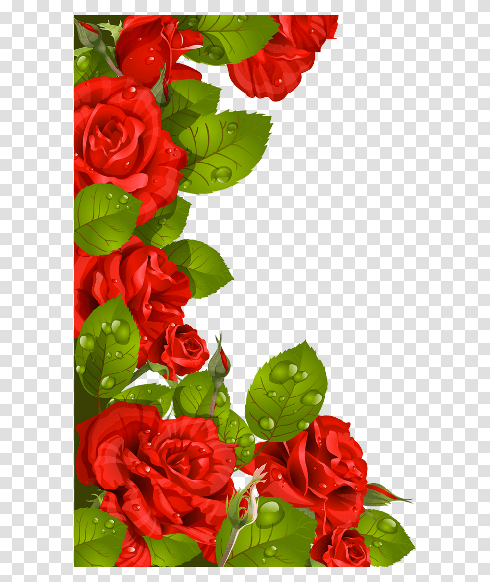 Beautiful Flower Clipart Rose Clipart Flower Border, Plant, Blossom, Floral Design Transparent Png