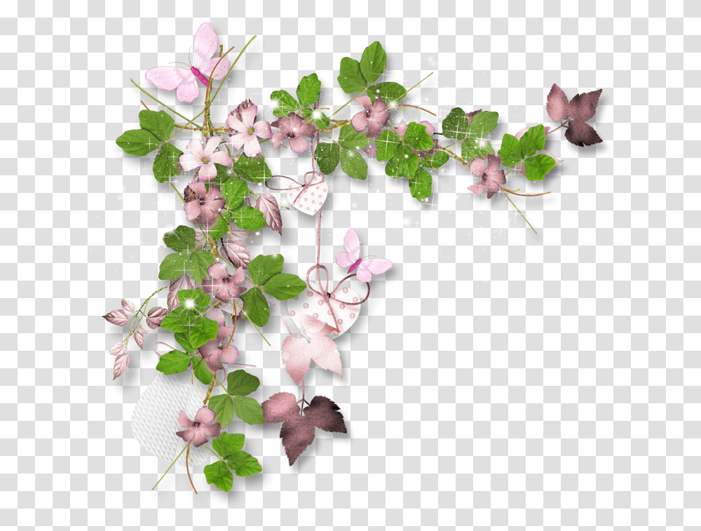 Beautiful Flower Plant, Blossom, Petal, Leaf, Acanthaceae Transparent Png