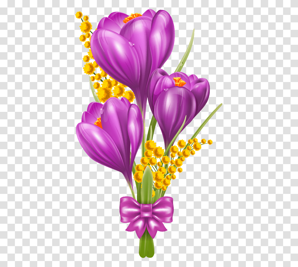 Beautiful Flowers Flower Beautiful Boders, Plant, Blossom, Crocus Transparent Png