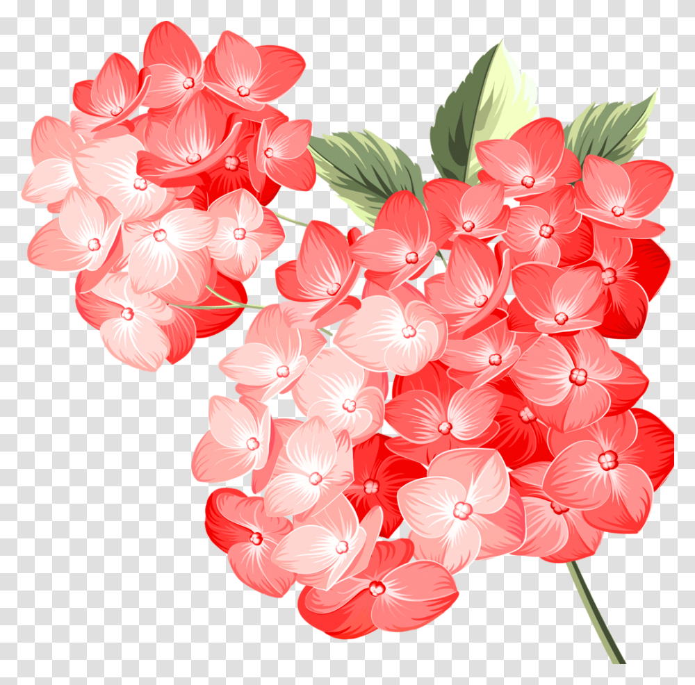 Beautiful Flowers Frame Vintage Flower Pink Color Vector, Plant, Blossom, Geranium, Petal Transparent Png