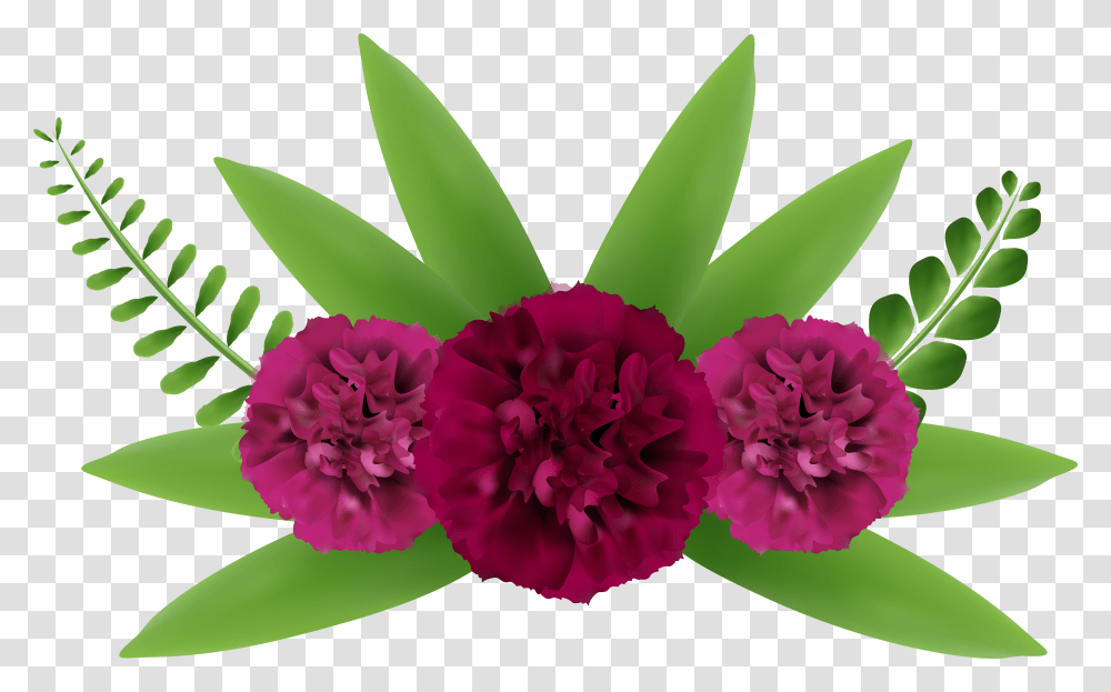 Beautiful Flowers Images Transparent Png