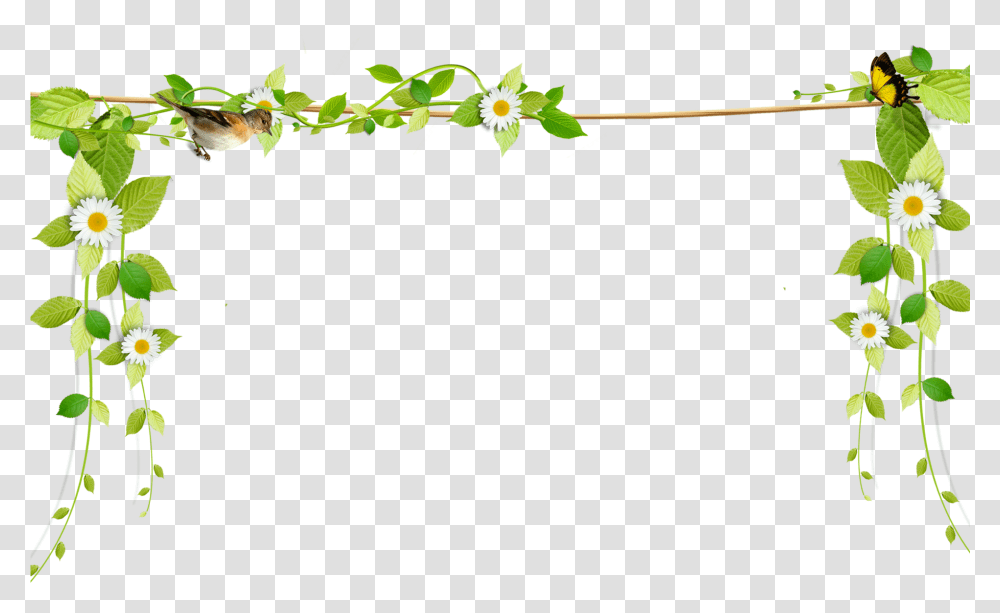 Beautiful Fresh Vines Border Rope Vines With Flowers, Plant, Animal, Leaf, Insect Transparent Png