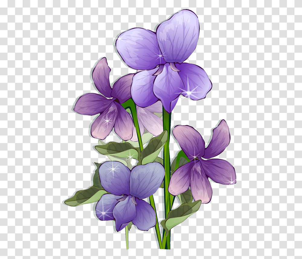 Beautiful Hd Flower Frames, Iris, Plant, Blossom, Purple Transparent Png