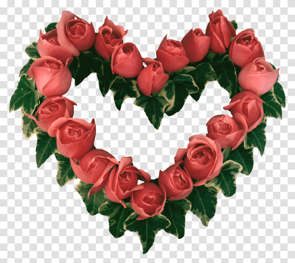 Beautiful Heart Touching Rose, Flower, Plant, Blossom, Wreath Transparent Png