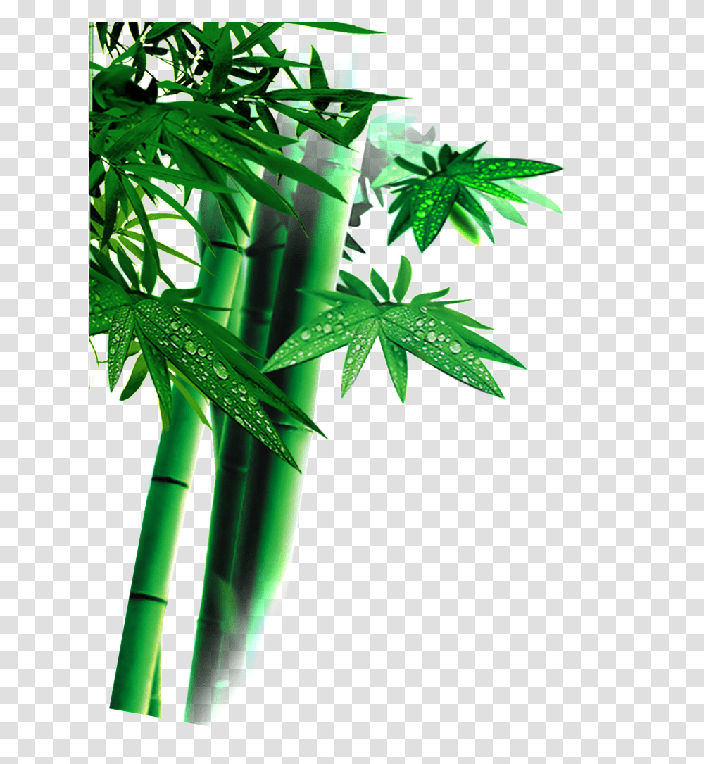 Beautiful High Definition Green Bamboo Leaves Bamboo, Plant Transparent Png