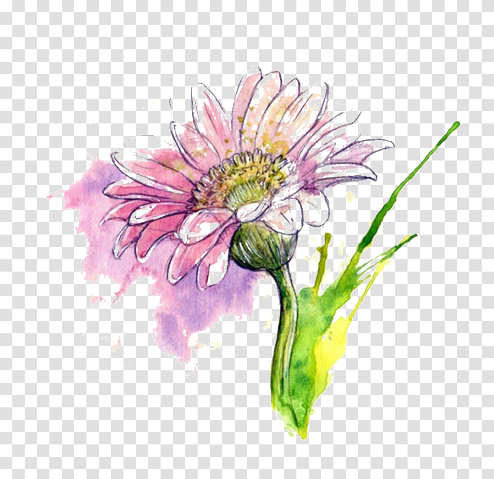 Beautiful Lilac Hand Drawn Chrysanthemum Decorative Free, Plant, Flower, Blossom, Pollen Transparent Png