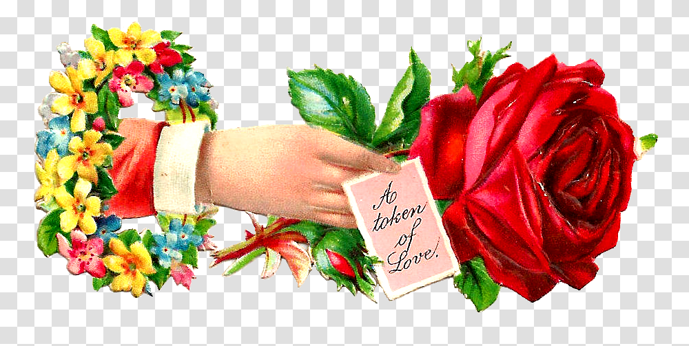 Beautiful Love Clipart Hd Rose Flower Love S, Plant, Leaf, Petal Transparent Png
