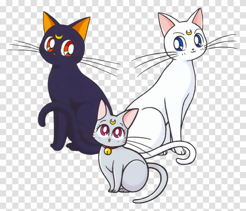 Beautiful Luna Sailor Moon, Cat, Pet, Mammal, Animal Transparent Png