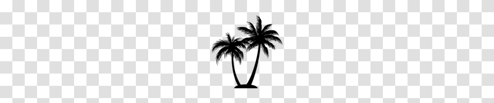 Beautiful Palm Tree Clipart Image Clip Art, Gray, World Of Warcraft Transparent Png