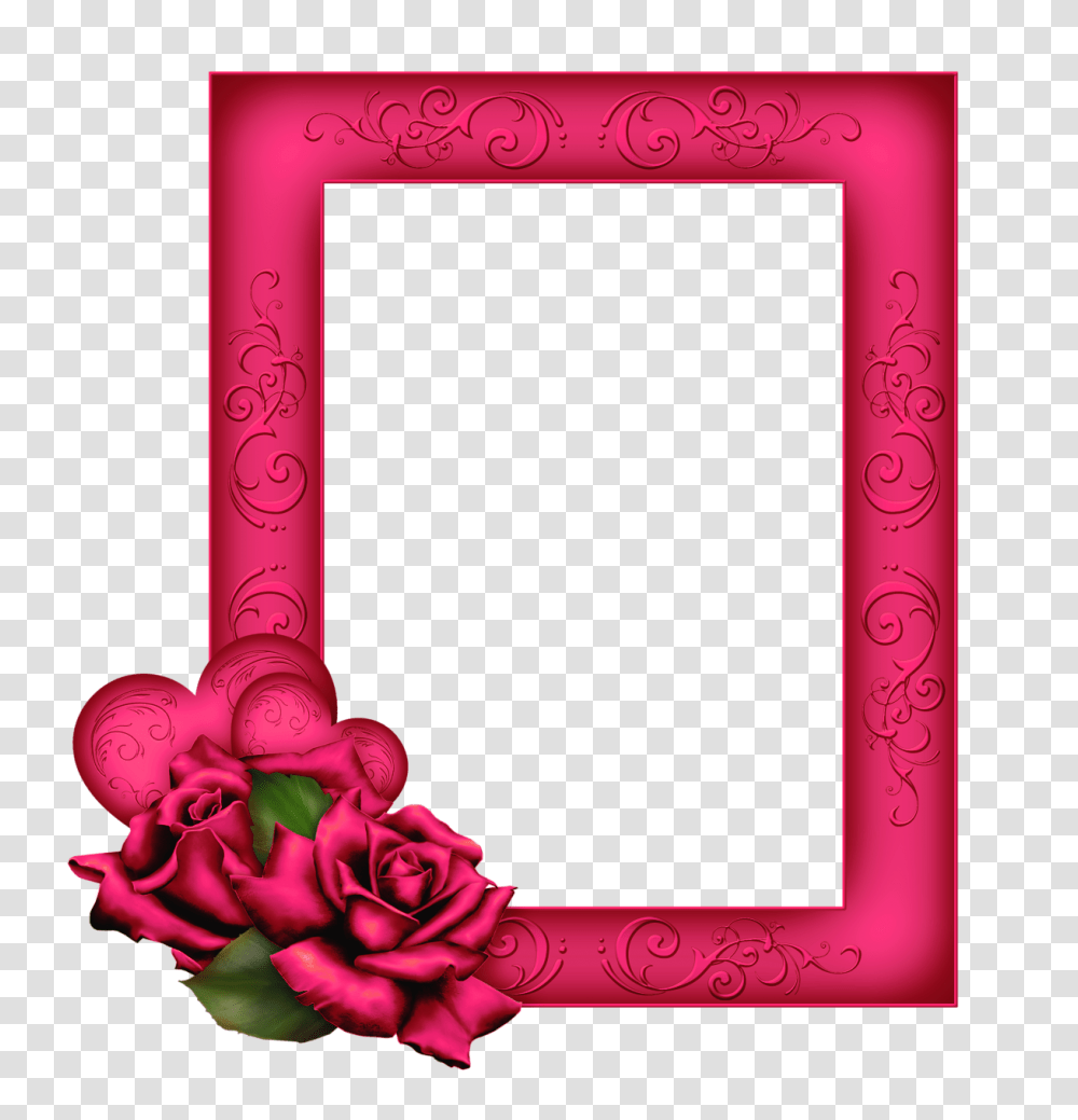 Beautiful Pink Frame With Gallery, Plant, Flower, Blossom Transparent Png