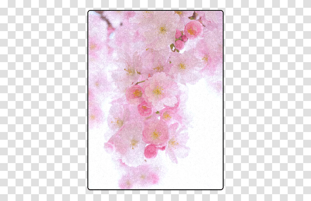Beautiful Pink Japanese Cherry Tree Blossom Blanket 50x60 Id D626516 Girly, Plant, Flower, Cherry Blossom, Rug Transparent Png