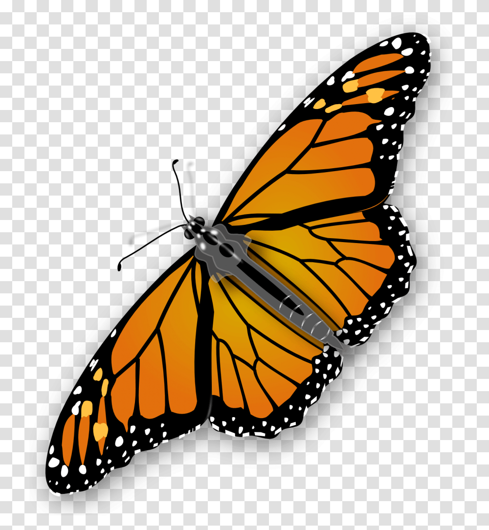 Beautiful Purple Butterfly Silhouette Free And Vector, Monarch, Insect, Invertebrate, Animal Transparent Png