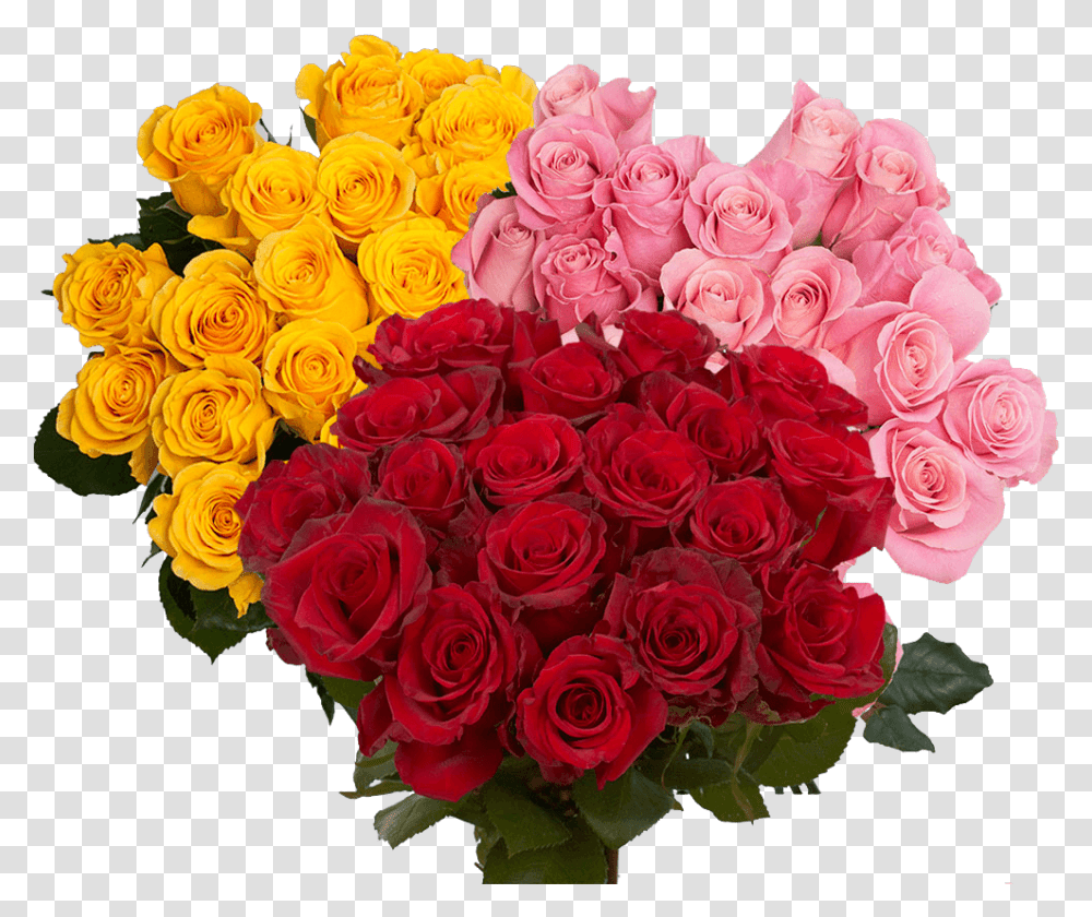 Beautiful Red And Color Roses Rose, Plant, Flower, Blossom, Flower Bouquet Transparent Png