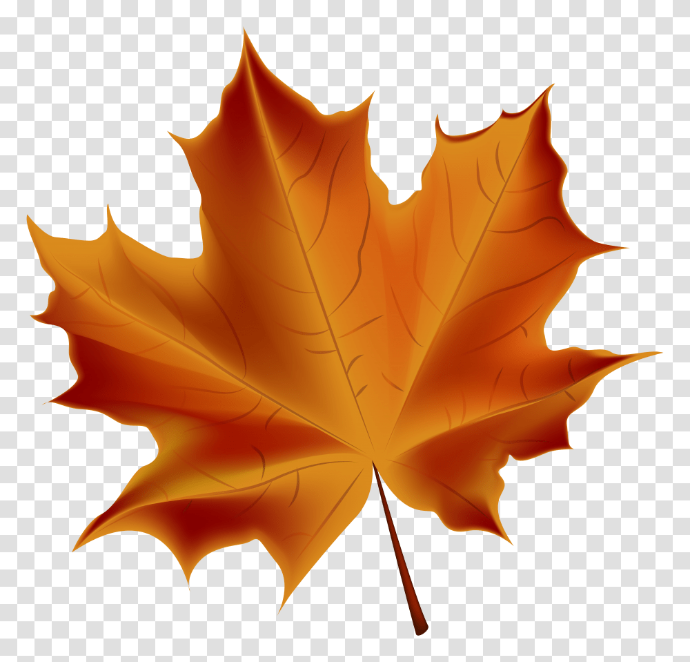 Beautiful Red Autumn Leaf Clip Art Image Transparent Png