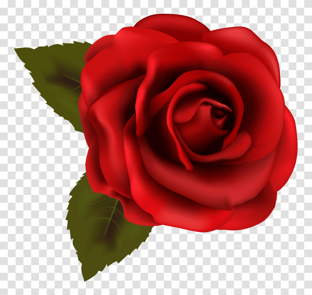 Beautiful Red Rose Clip Art Gallery Transparent Png