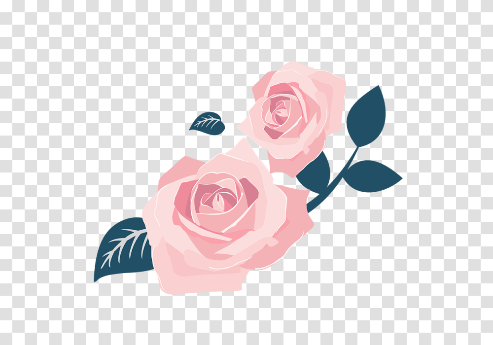 Beautiful Rose Decoration, Flower, Plant, Blossom, Petal Transparent Png