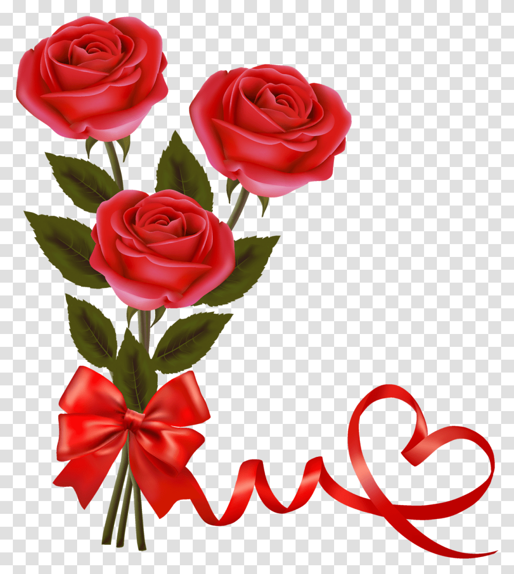 Beautiful Rose Hd, Plant, Flower, Blossom, Flower Bouquet Transparent Png